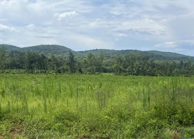 Property at 3215 Hwy 68 E, Gaylesville, AL 35973