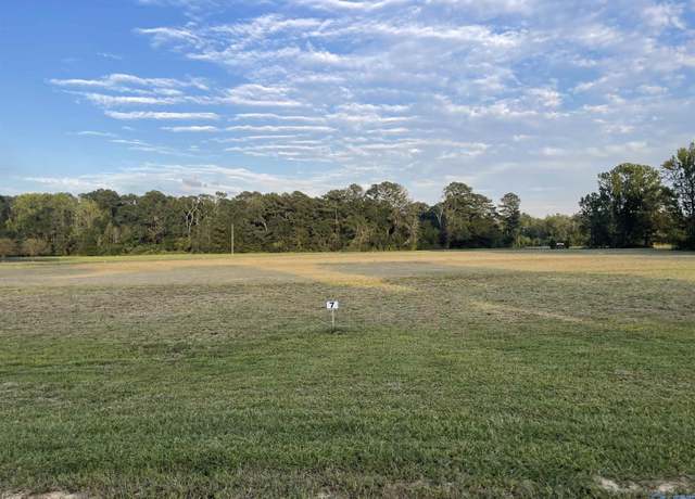 Property at 2867 Lake Forest Ct, Southside, AL 35907