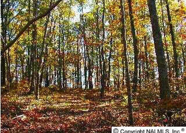 Property at 7 Blowing Cave Rd, Gurley, AL 35748