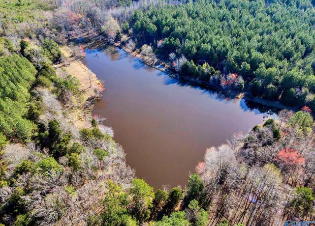 Property at 10354 Hwy 101, Town Creek, AL 35672