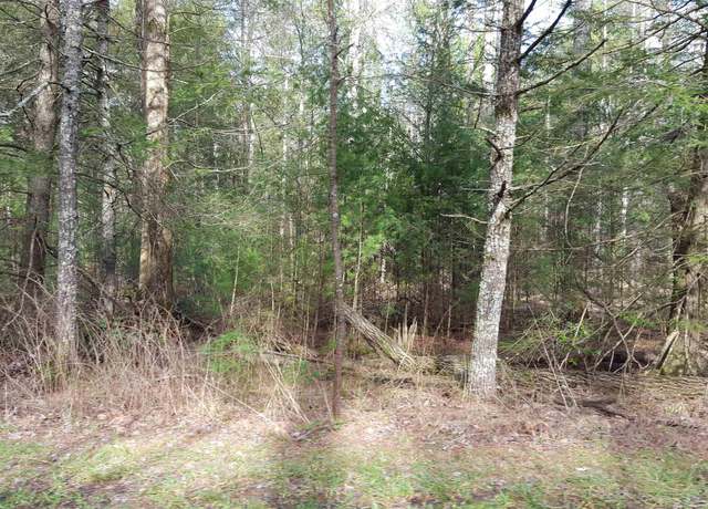 Property at Tract 10 Goodin Rd, Elkmont, AL 35620