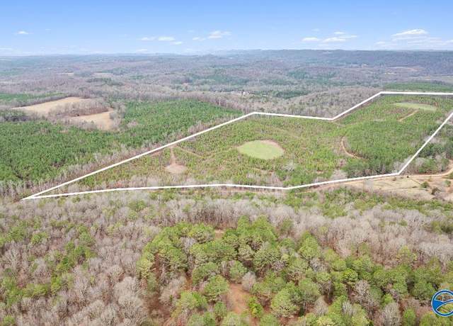 Property at 1 County Road 288, Collinsville, AL 35961
