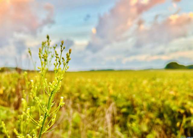 Property at 15 Acres Tower St, Trinity, AL 35673