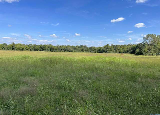 Property at 40 Acres County Road 205, Danville, AL 35619