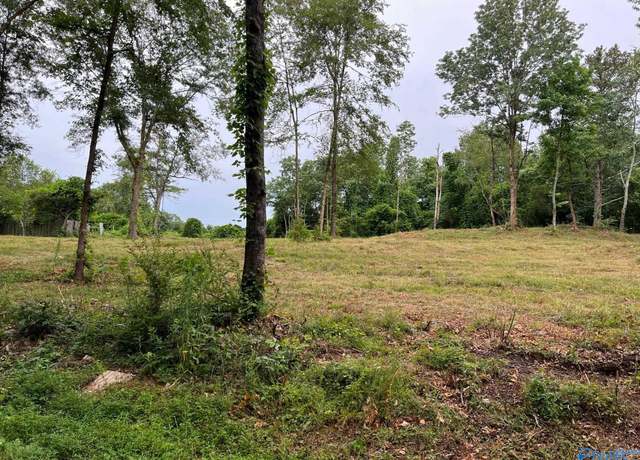 Property at Lot 4 Cherrywood Dr, Guntersville, AL 35976