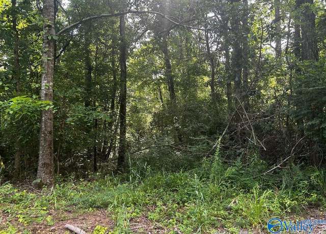 Property at 6.7 Leslie Willis Rd, Somerville, AL 35670