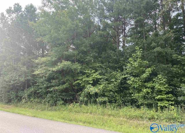 Property at 17.27 Third St, Hokes Bluff, AL 35903