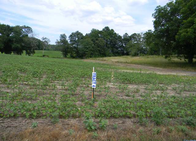 Property at Lot 4 County Road 40, Centre, AL 35960