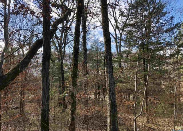 Property at LOT 0 Bettinger Mountain Rd, Union Grove, AL 35175