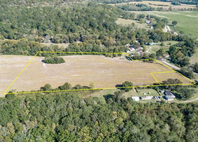 Property at +/-  9.92 Acres Alabama Highway 65, Princeton, AL 35766