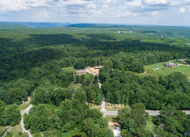 Property at 46 acres Alabama Highway 79, Scottsboro, AL 35768