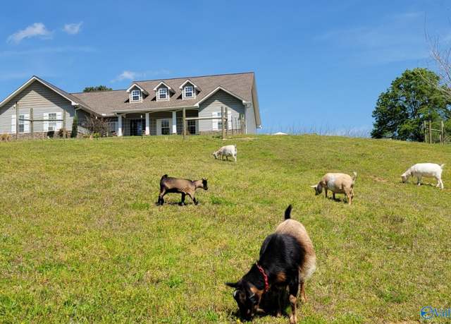 Property at 256 Pentecost Rd, Eva, AL 35621, 3 beds, 2.5 baths
