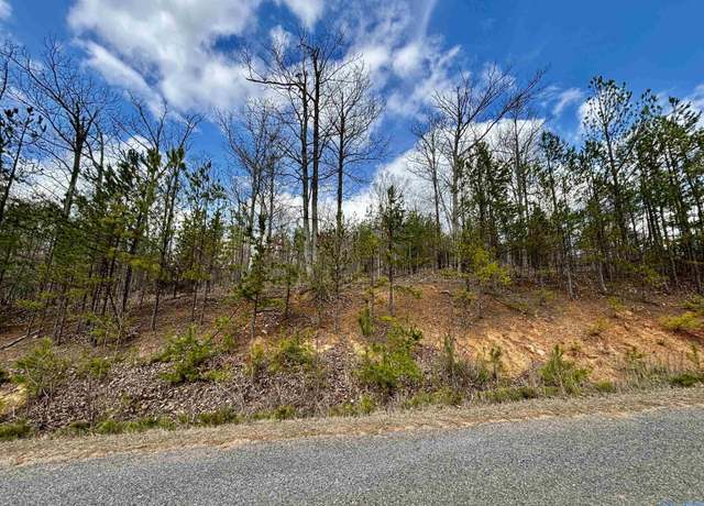 Property at 2.92 County Road 368, Centre, AL 35960