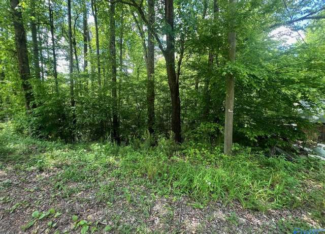 Property at 194 Lot Sheffield Dr, Oneonta, AL 35121