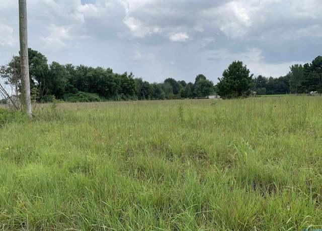 Property at 1 Acre on Levert Ave, Athens, AL 35611