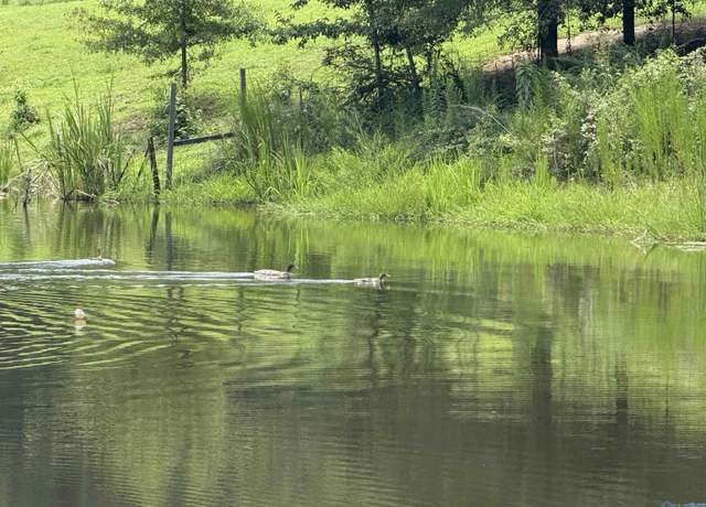 Property at 25.63 Brothers Rd, AL 35951