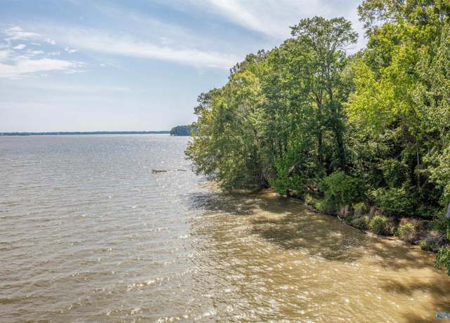 Property at DD Moneys Bend Rd, Cedar Bluff, AL 35959