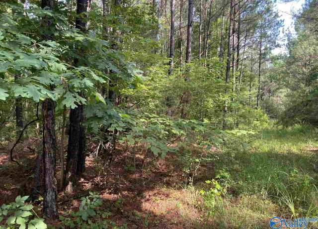 Property at 119 ACRES Sandoak Rd, Hamilton, AL 35570