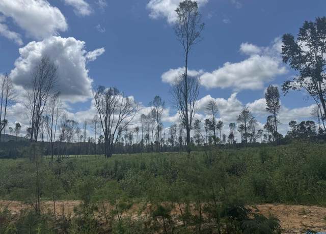 Property at 12 County Road 794, AL 35973