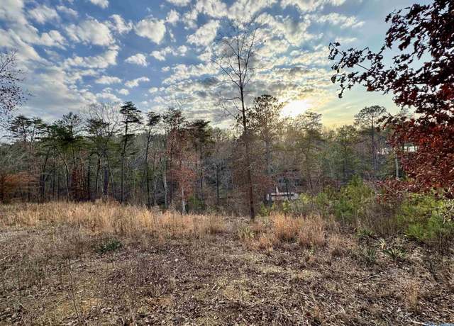 Property at Lot 4 County Road 51, Bremen, AL 35022