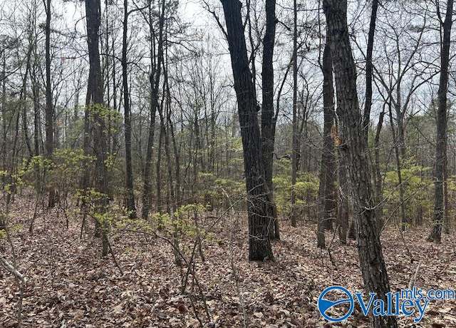 Property at 12 Peck Mountain Rd, Eva, AL 35621