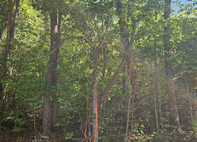 Property at Lot 2 County Road 60, Gaylesville, AL 35973