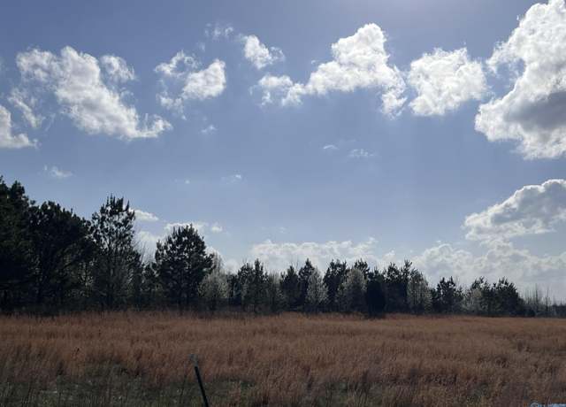 Property at 64 Acres County Road 463, Section, AL 35771