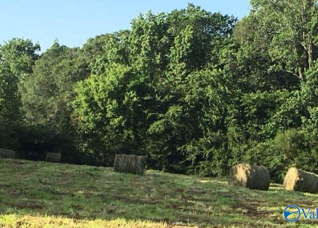 Property at 64 Acres County Road 463, Section, AL 35771