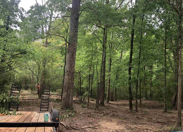 Property at Lot 18 & 19 Meadow Wood Cir, Arab, AL 35016