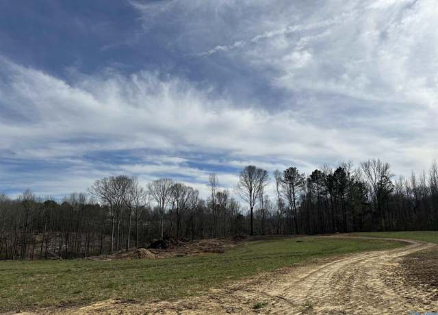 Property at 663 Holmes Rd, Falkville, AL 35622
