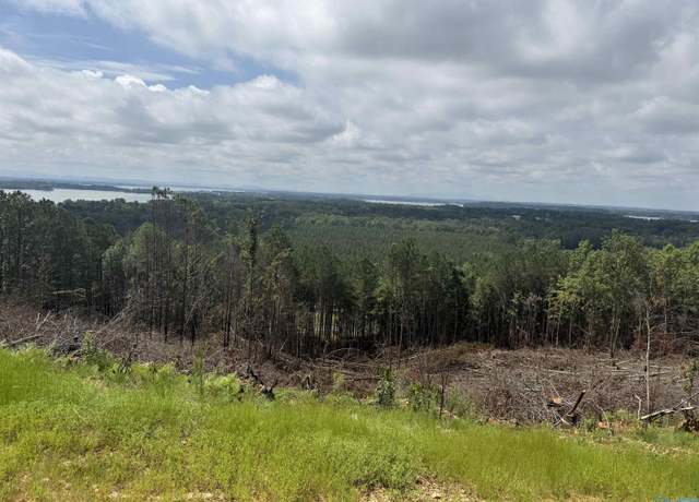 Property at Lot 6 County Road 1022 #6, Cedar Bluff, AL 35959