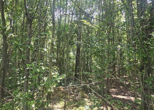 Property at 517 3rd St SW, Sylvania, AL 35988
