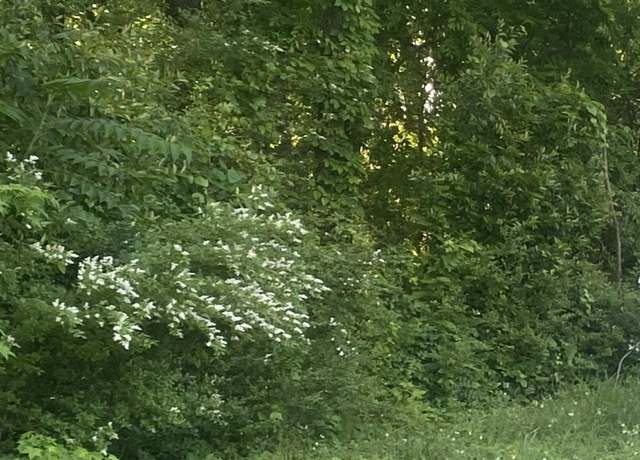 Property at Lot 10-11 Blair St S, Florence, AL 35630
