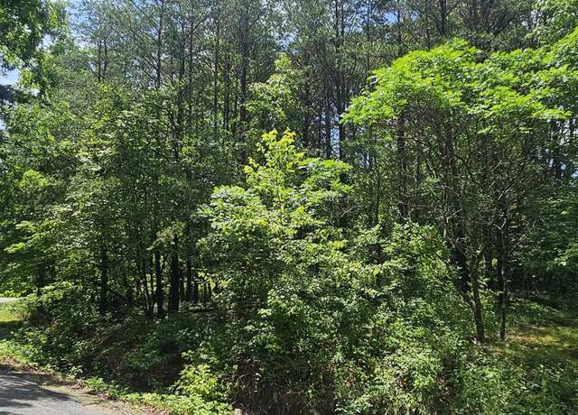 Property at 3 +/- Acres County Road 106, Mentone, AL 35984