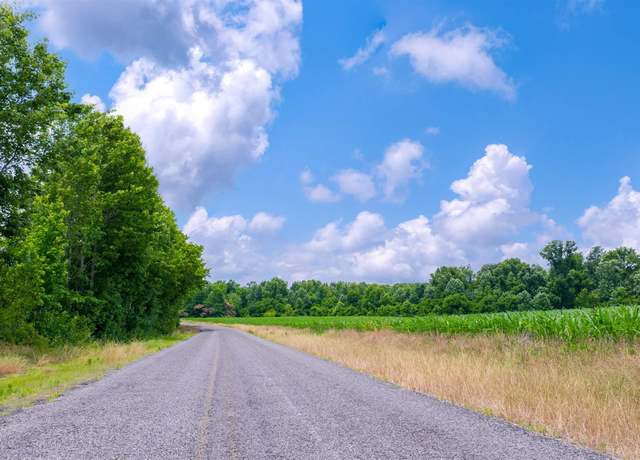 Property at 28 acres County Road 62, Section, AL 35771