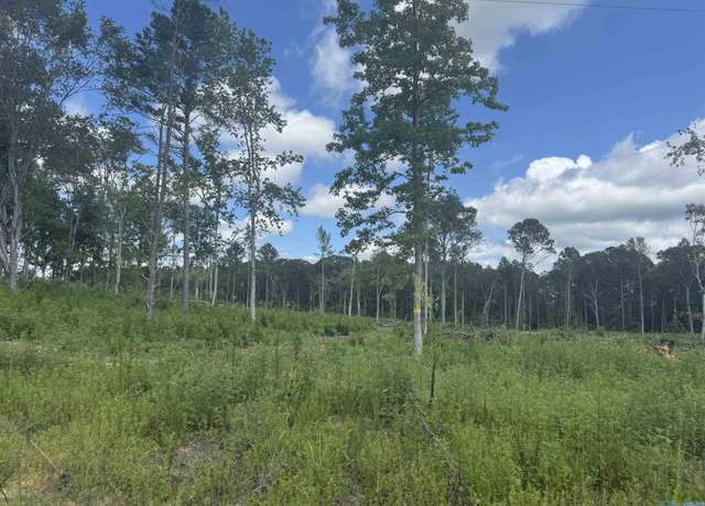 Property at Lot 7 County Road 794, Gaylesville, AL 35973