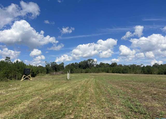 Property at 140 +/- acres Highway 157, Leighton, AL 35646