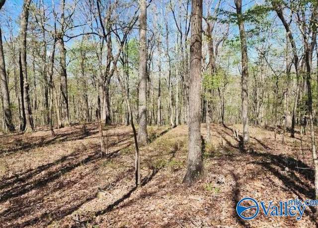 Property at 59 acres Horse Cove Rd, Gurley, AL 35748