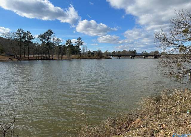 Property at 4.45 Acres Riddles Bend Rd, Rainbow City, AL 35906