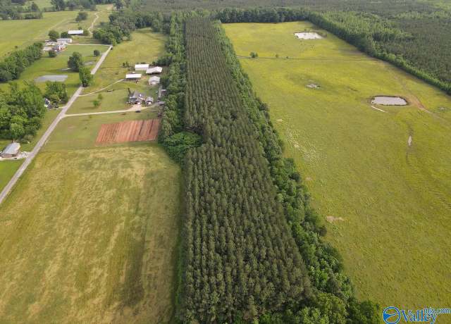 Property at 18.5 ACRES County Road 381, Hillsboro, AL 35643