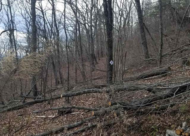 Property at Lot 72 County Road 839, Mentone, AL 35984