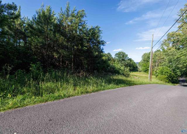 Property at 4 Acres Wills Creek Rd, Fort Payne, AL 35968