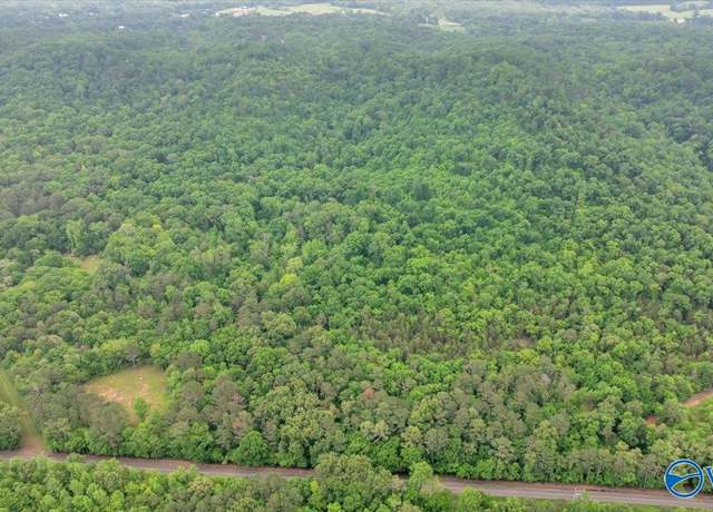 Property at 6153 Browns Valley Rd, Guntersville, AL 35976