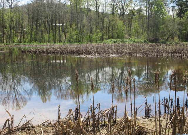 Property at 285 County Road 101, Scottsboro, AL 35768
