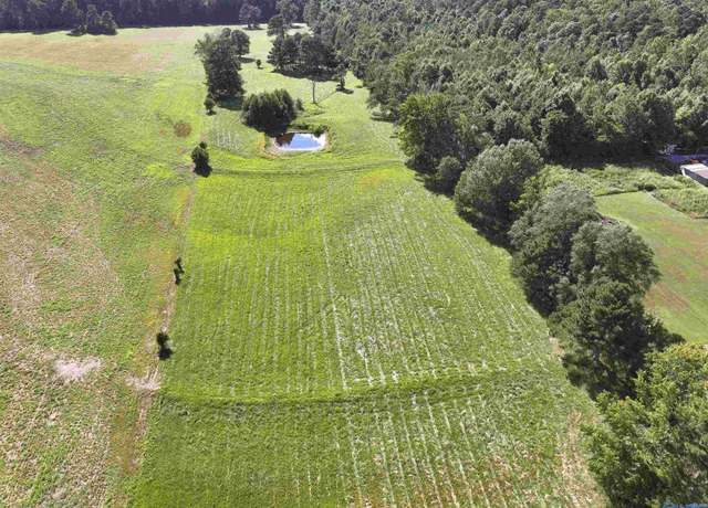 Property at 26691 Lambert Rd, Elkmont, AL 35620