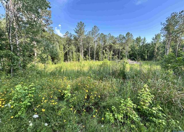 Property at 11.83 Acres County Road 82, Cedar Bluff, AL 35959