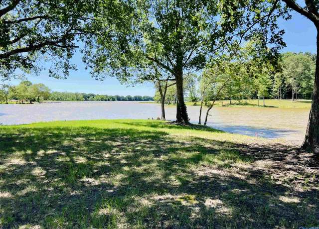 Property at 12 & 13 County Road 115, Cedar Bluff, AL 35959