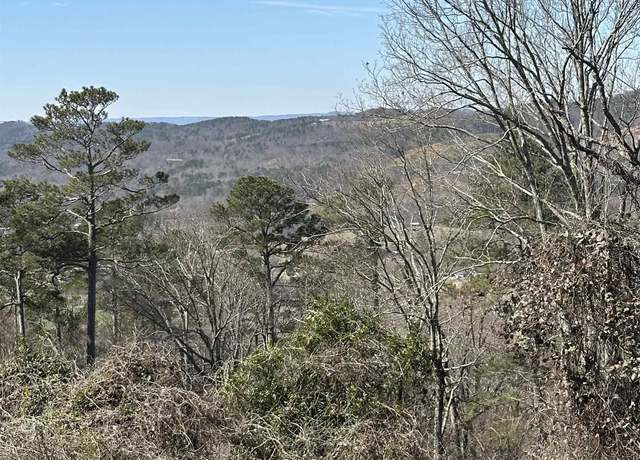 Property at 43 acres Scenic Dr, Gadsden, AL 35904