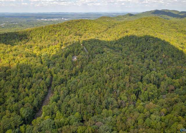Property at #2 32 Acres Highland Woods, Jacksonville, AL 36265