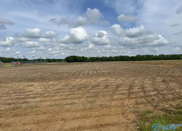 Property at 12 Acres Hwy 43, Florence, AL 35634